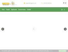 Tablet Screenshot of ingessil.com